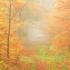 Conservation Easement Incentive Act